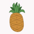 Doodle pineapple. Vector Color image, tropical fruit